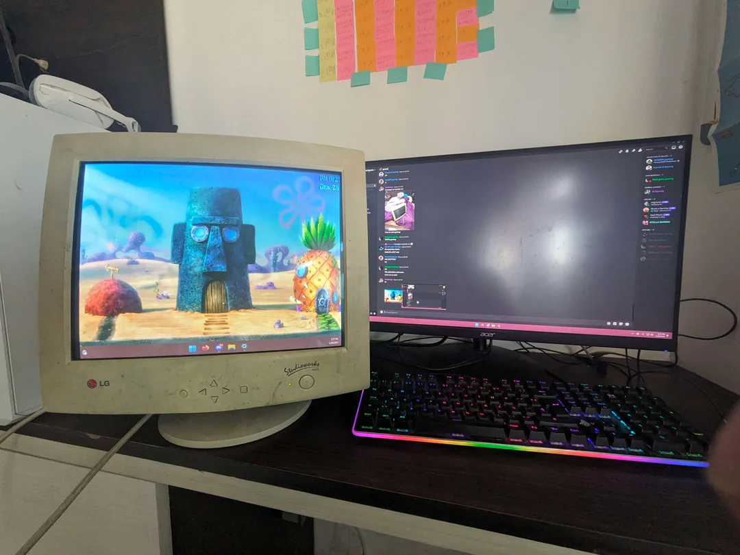 LCD monitors